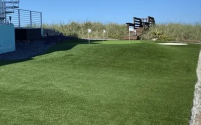 Artificial Grass Clearwater Enhances Outdoor Spaces