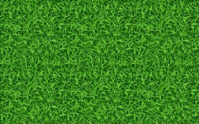 Choosing the Best Artificial Turf for Your Home