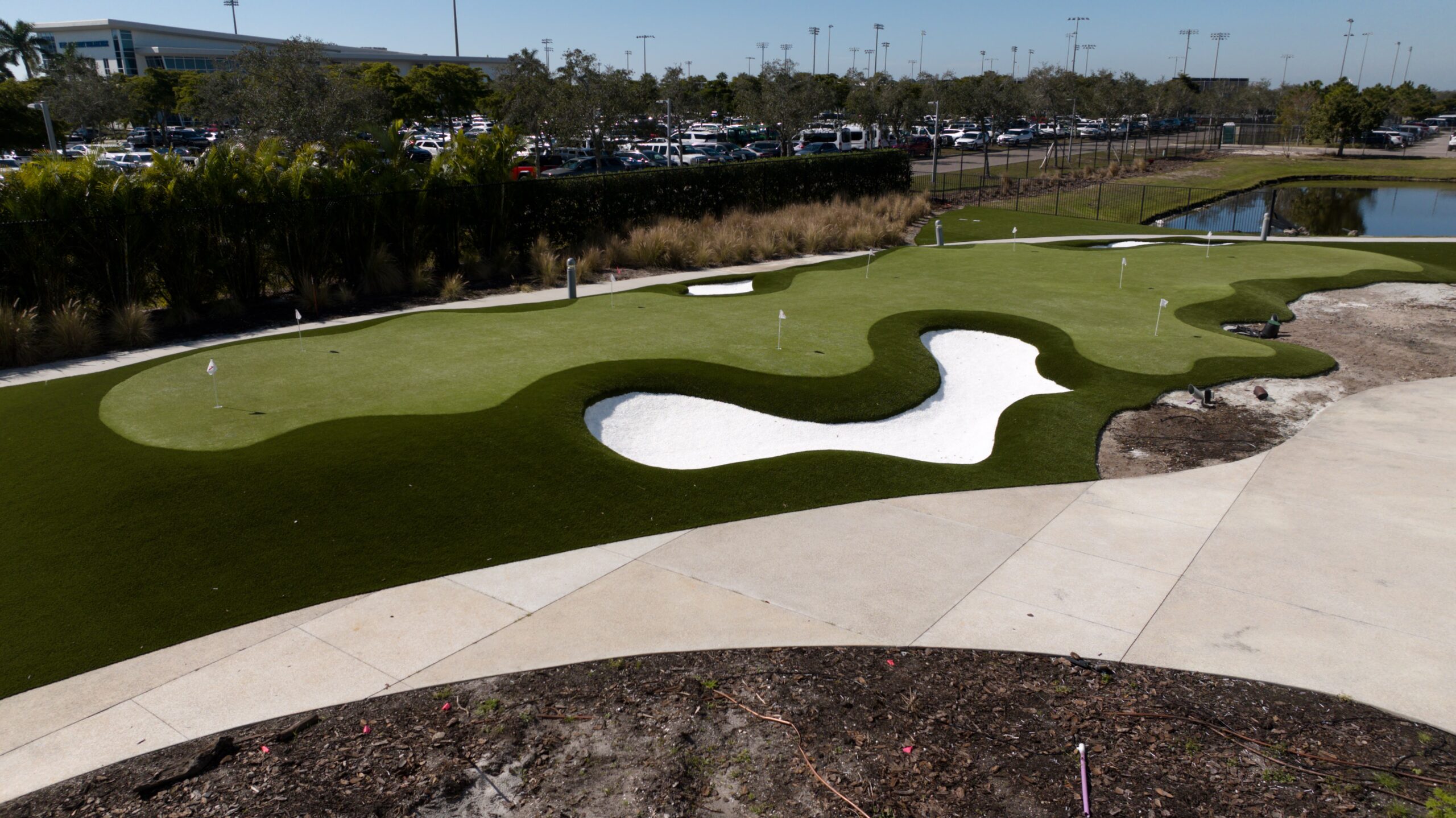 Artificial Grass Palm Harbor